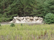 Lesetein- und Totholzhauf als Kleintierhabitat im Chransdorfer Forst