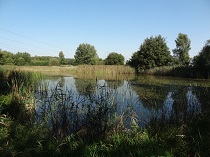 Unkenteiche