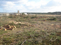 Solarpark Pilzheide
